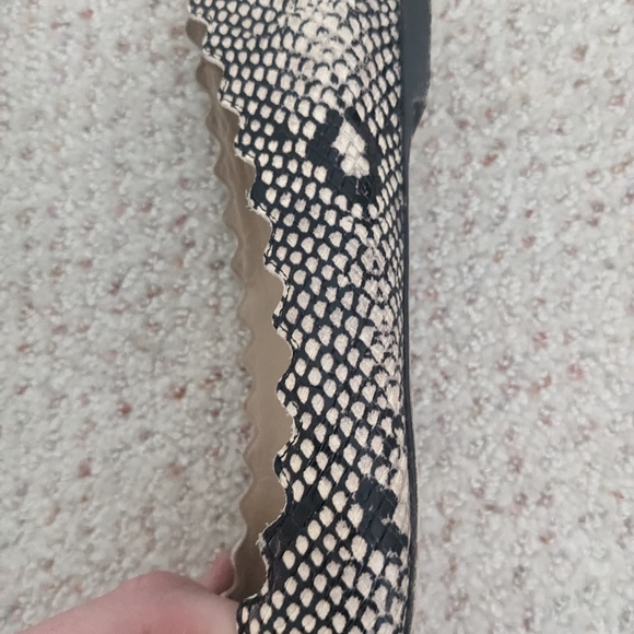 Chloe Lauren Python Embossed Snakeskin scallop Leather Ballet Flats Sz 9.5 $595. - Picture 7 of 12